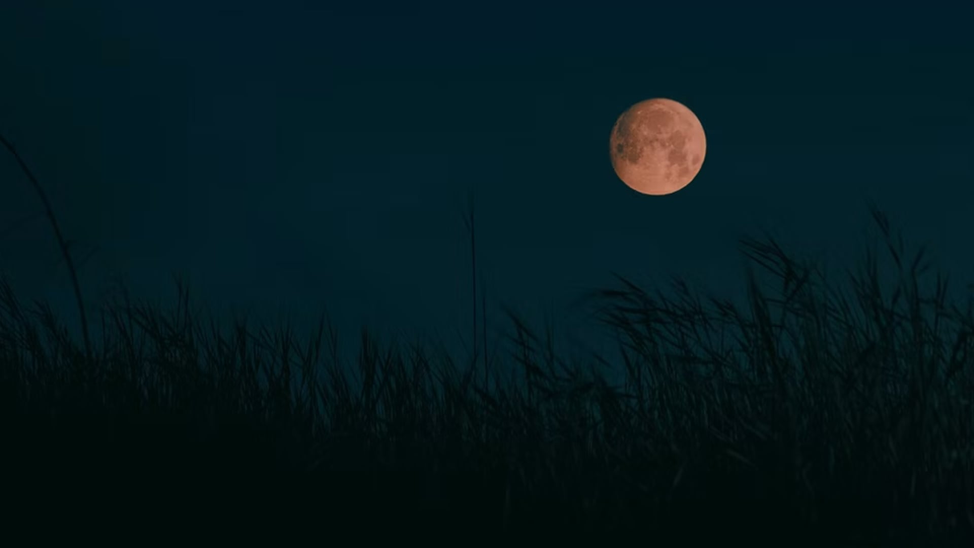 ¿Cómo ver a Saturno junto a la Luna de la Cosecha esta noche desde Tijuana? Esto podrás observar