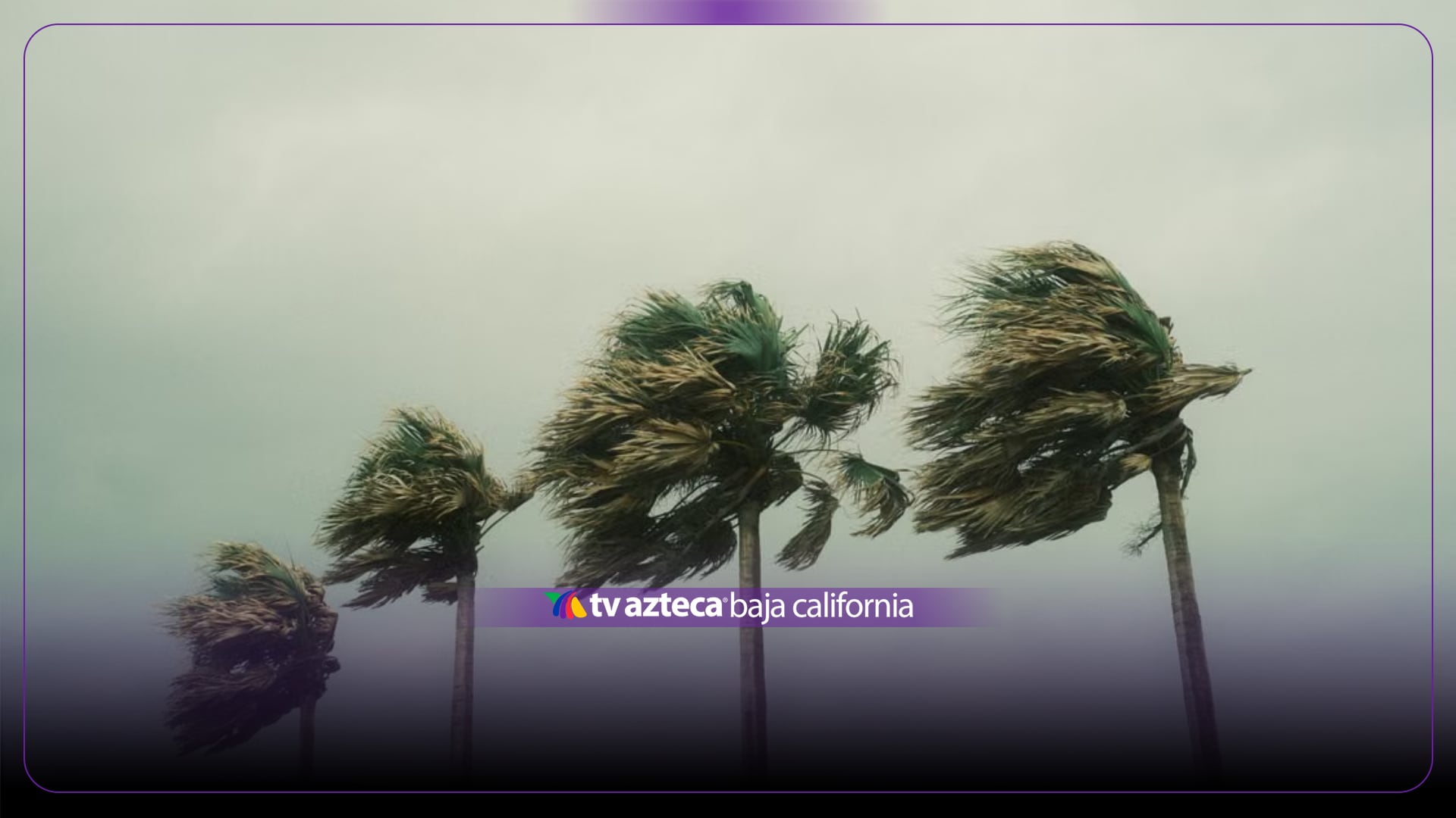 ¿Seguirán los vientos de Santa Ana en Tijuana este sábado? Esto se espera para hoy 