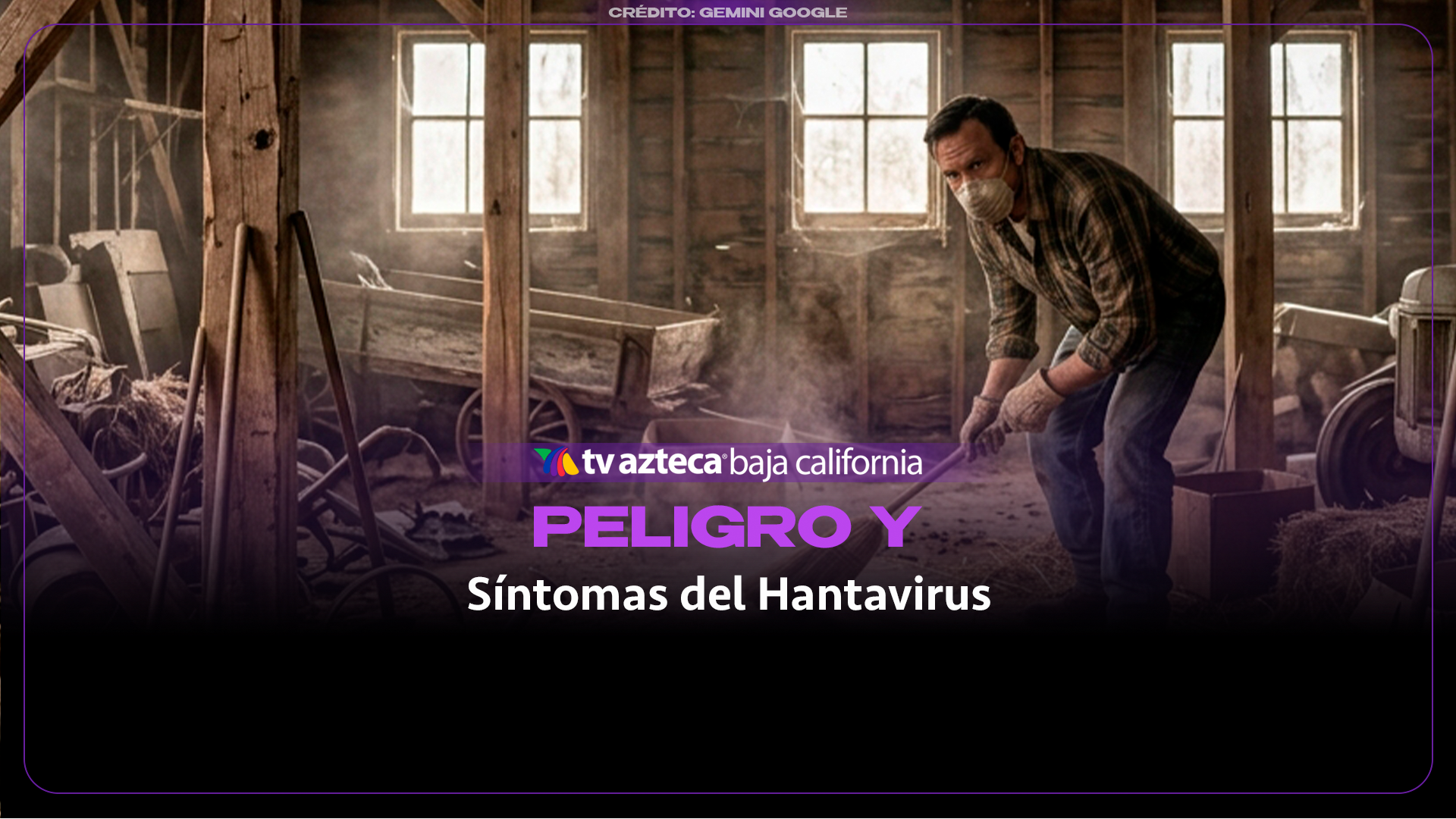 Hantavirus: el peligro mortal que puede esconderse en una cabaña abandonada
