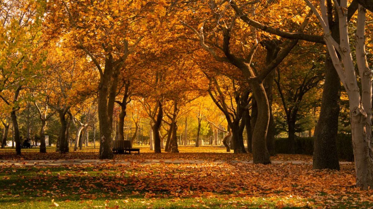 ¡Cuenta regresiva! La hora exacta en que el otoño llega a Baja California