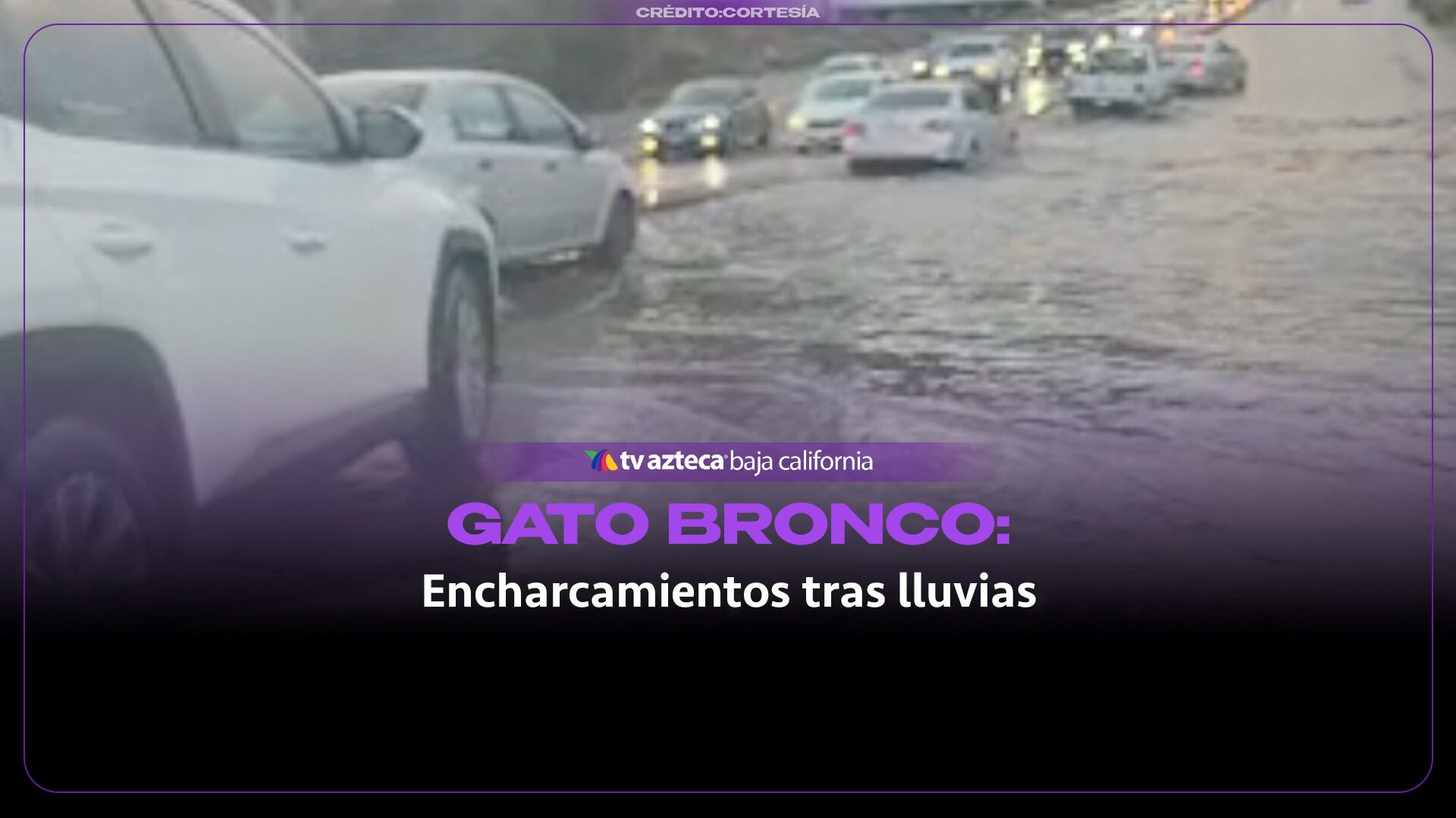¡Gato Bronco bajo el agua! Inundación obliga a conductores a cambiar de carril en Tijuana