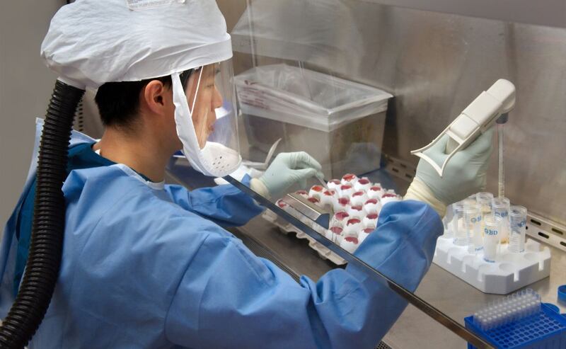 Detectan nuevo virus de origen animal en China, hay 35 casos en humanos.jp