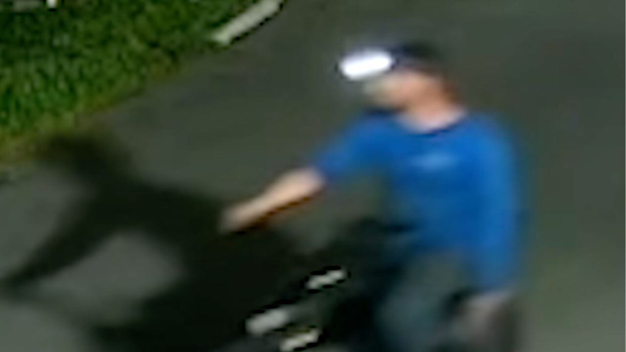 ¡Alerta por asesino de gatos! Hombre es captado disparando contra un felino cerca de un tianguis; ofrecen recompensa para localizarlo | VIDEO