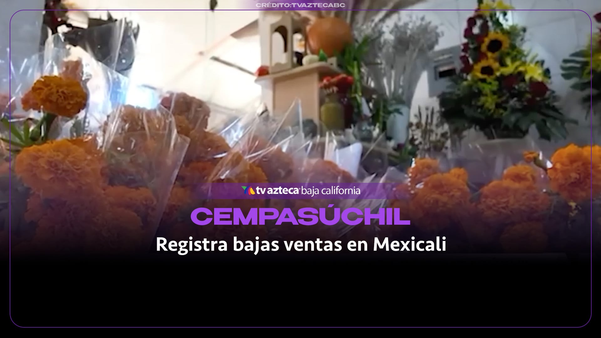 Día de Muertos no levanta la venta de cempasúchil en Mexicali; florerías bajan sus precios