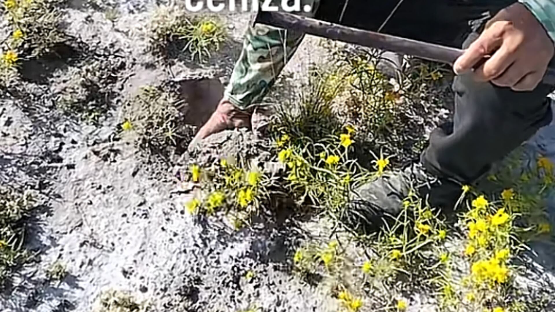 ¿Se está formando un nuevo volcán en Nuevo León? Video muestra extraños cambios en el suelo