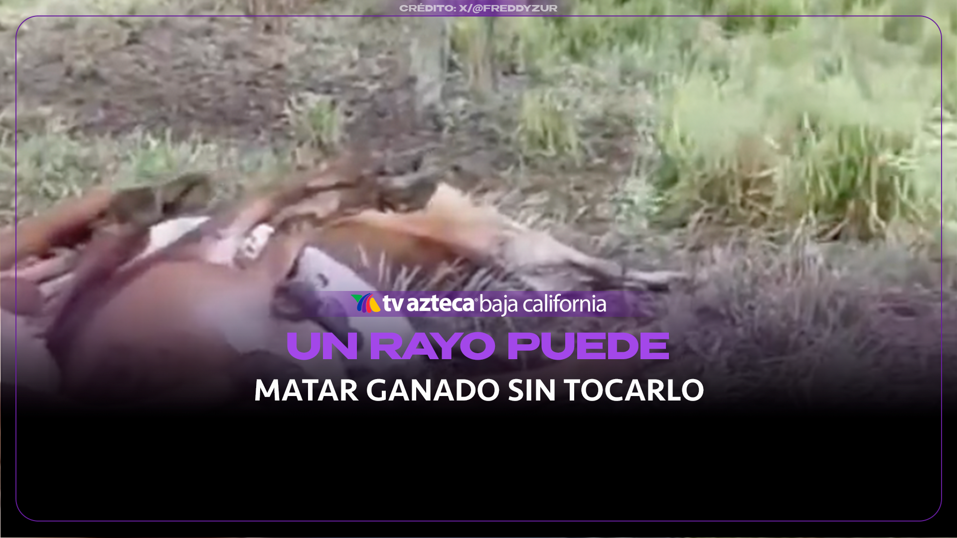 créditos: redes sociales 